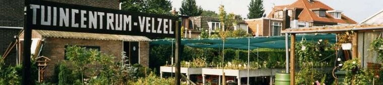 Ontwerpen, onderhouden en renoveren van particuliere tuinen en bedrijfsgroenvoorzieningen