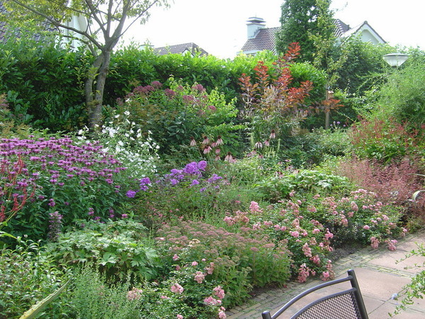 Een vaste plantentuin voor de liefhebber