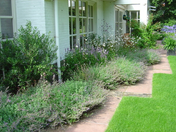 Een vaste plantentuin voor de liefhebber